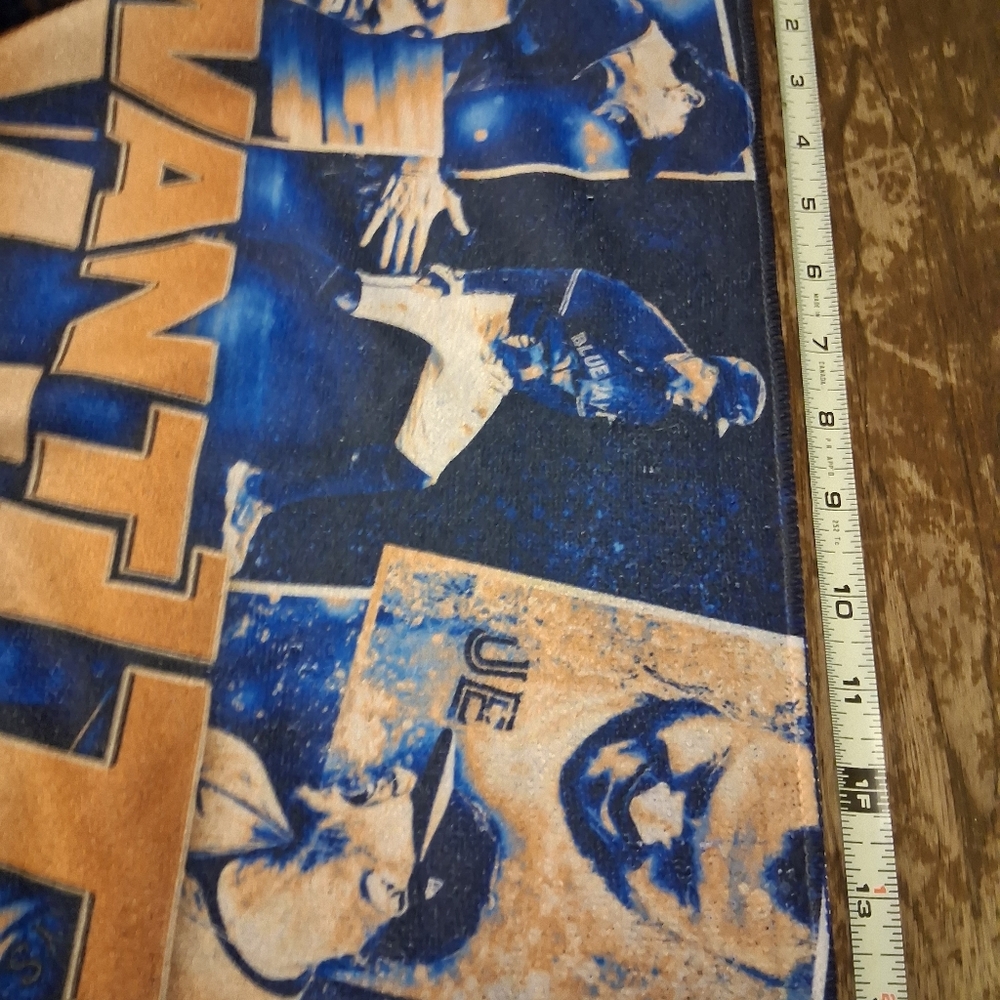 Toronto Blue Jays 2025 WANT IT ALL FanTowel - Picture 5 of 6